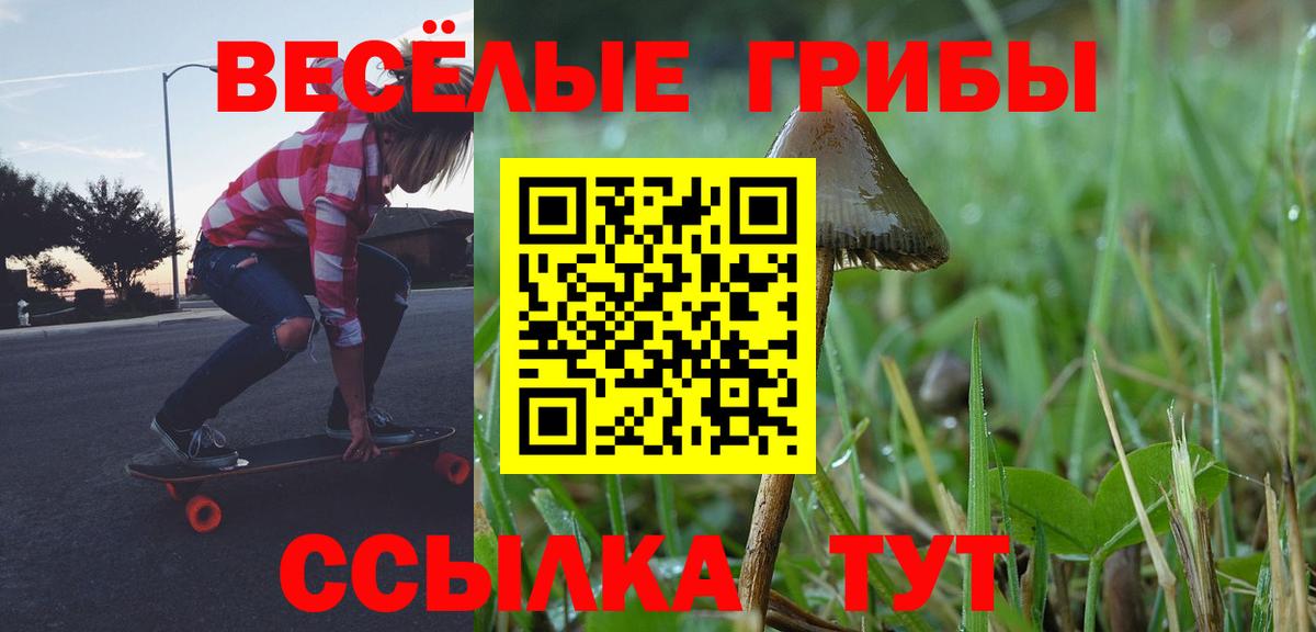 Псилоцибиновые грибы мухоморы Орск